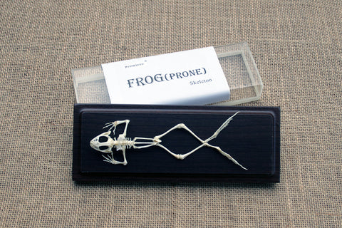 FSP - Frog Skeleton in prone position