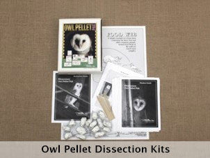 Owl Pellet Dissection Kit