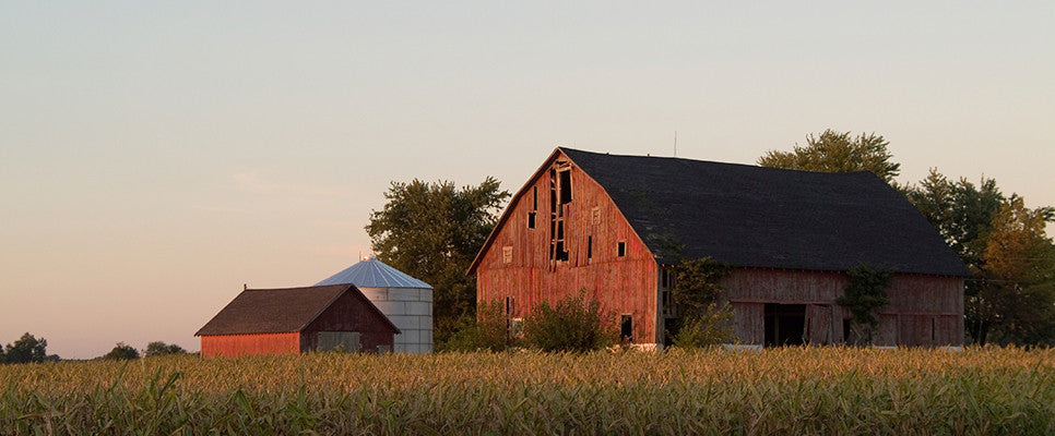 Barn