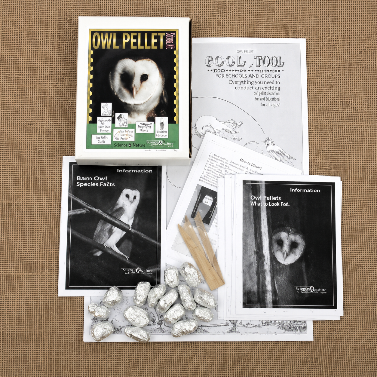 Collection of owl pellet kit components including books, cards, and owl pellets on a textured surface.