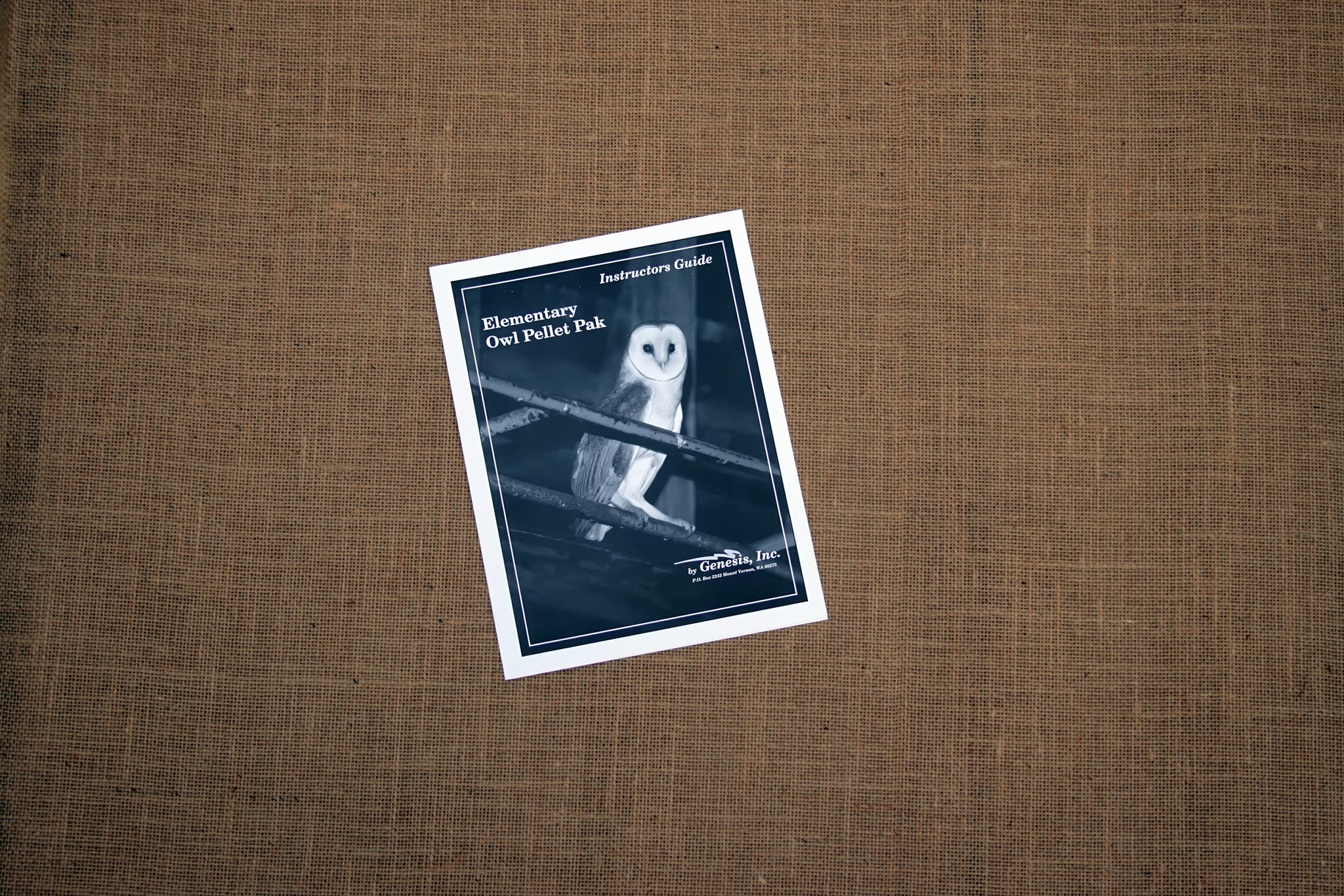A cover of the 'Elementary Instructors Guide' featuring an illustration of a barn owl on a black and white background.