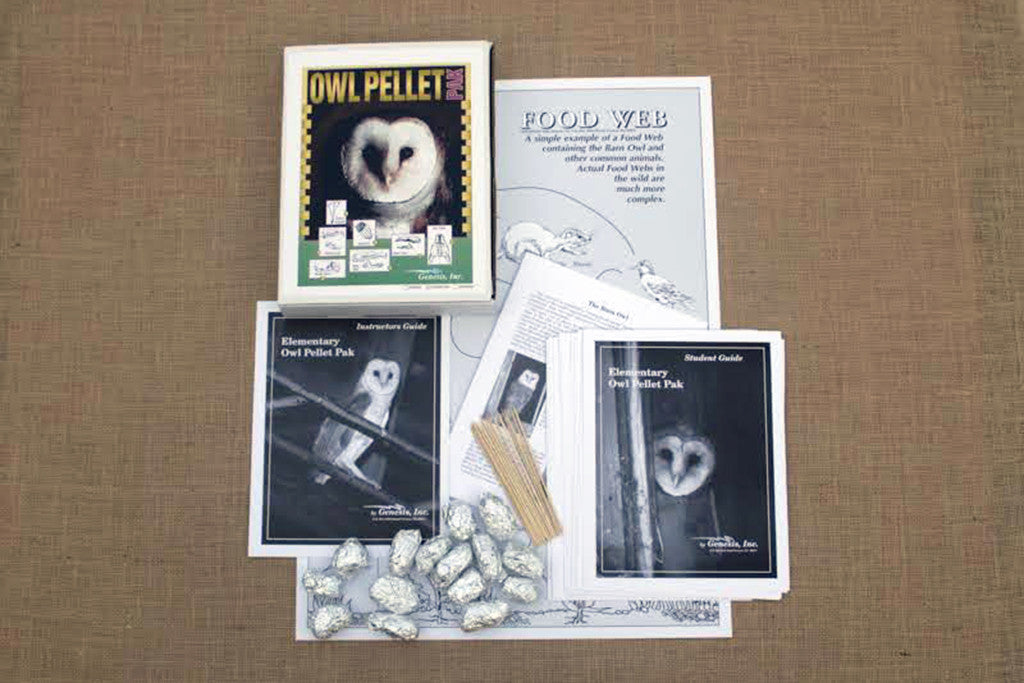 Dissection kit for education purposes including pellets, probes, skeleton, and instructional materials laid out on a table.