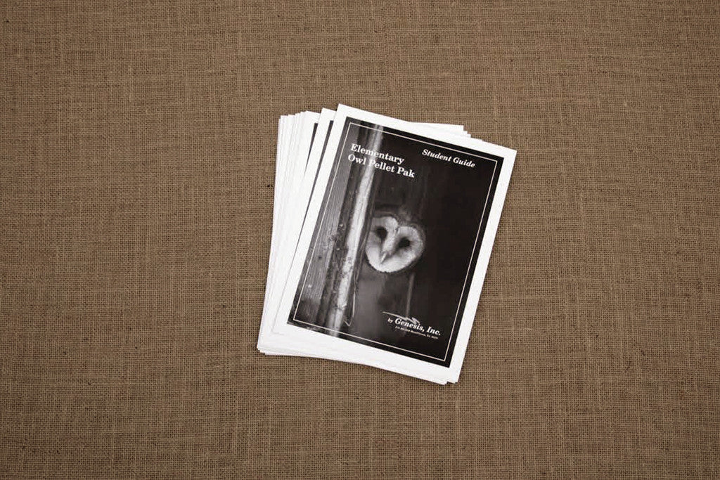 A stack of 'Elementary Student Guides' with an image of an owl on the cover, placed on a textured surface.
