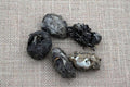 Several owl pellets displayed on a burlap surface, with varying shades of gray and white, some with visible remains of an animal, likely a mole.
