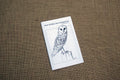 a black and white booklet titled "Owl Pellet Investigation"