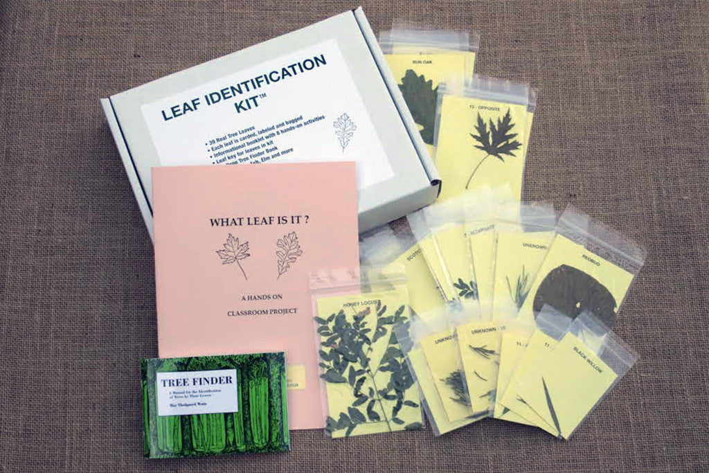 An educational leaf identification kit displayed, including a guide, activities, real tree leaves in plastic sleeves, and a tree finder booklet.