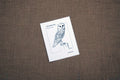 A printed owl pellet dissection instructors guide lying on a flat surface, with an illustration of an owl on it.