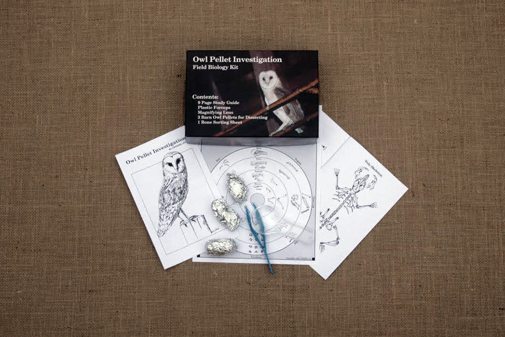 An educational kit for owl pellet dissection including a box with a photograph of a Barn Owl, a study guide, plastic forceps, a magnifying lens, and three wrapped owl pellets.
