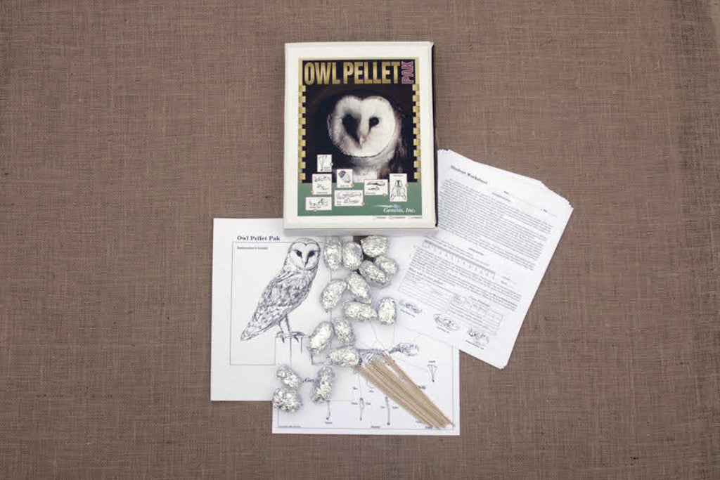 An owl pellet lab kit displayed, including a book, worksheets, and Dissection Tools.