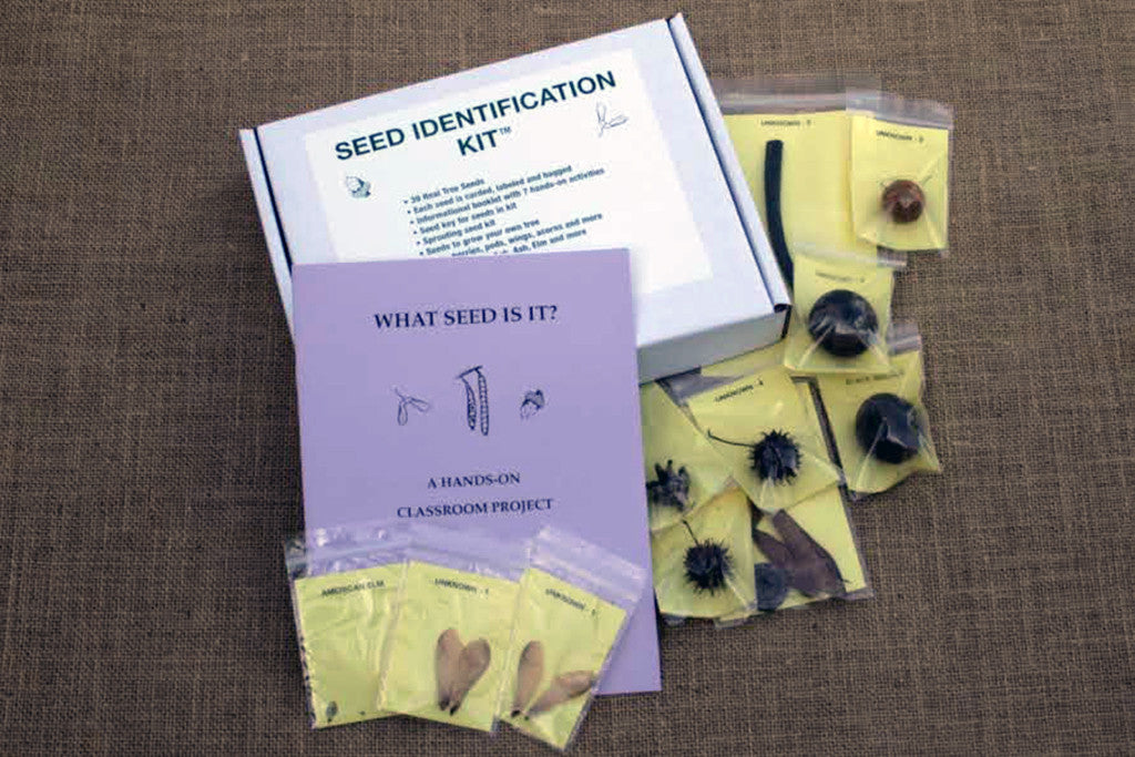 An open seed identification kit box displaying various seeds, seed cards, and a key for identifying the seeds.