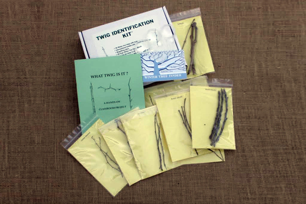 a full twig identification kit with a box, instructions and various examples of different twigs