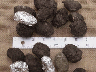 A collection of medium-sized barn owl pellets displayed next to a ruler for scale.
