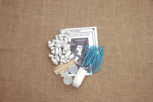Educational kit for owl pellet dissection, including wrapped owl pellets, an instructor's guide, a bone ID chart, wooden dissecting probes, and plastic forceps, displayed on a burlap-like surface.